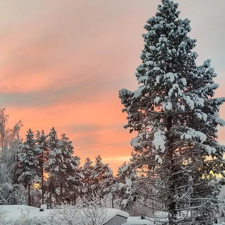 Cozy Holiday home